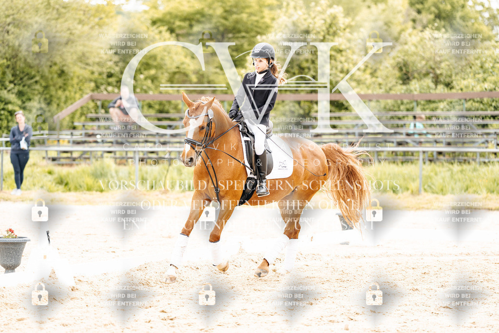 CK904585 | Turnierfotografie Pferdefotografie Trier Rheinland-Pfalz Pferdesport Reitsport Tierfotografie Sportfotografie Pferdevideo Pferdevideografie Equestrianvideography equestrianphotography  - Realisiert mit Pictrs.com