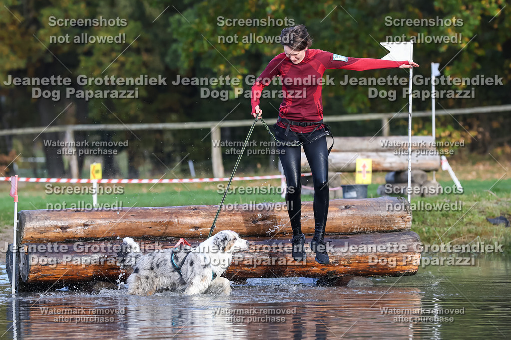 Dog Paparazzi - Strongdog 10-25-8232 | Dog Paparazzi Jeanette Grottendiek Fotografie & Videografie - Realisiert mit Pictrs.com