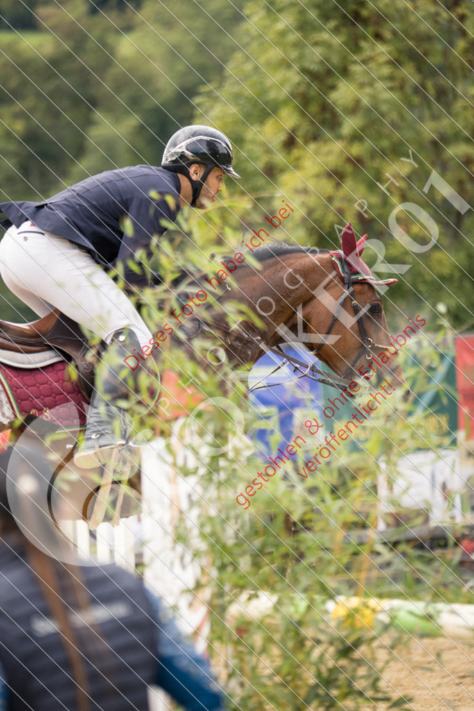 CON_6986 | Sport-, Event- und Tierfotos in Profiqualität. Einfach auswählen, bestellen und herunterladen. Dein Moment – perfekt festgehalten.