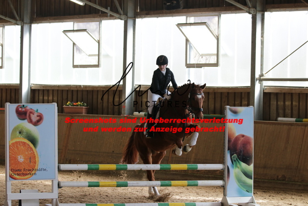 IMG_2603 | lmwpictures - Realisiert mit Pictrs.com