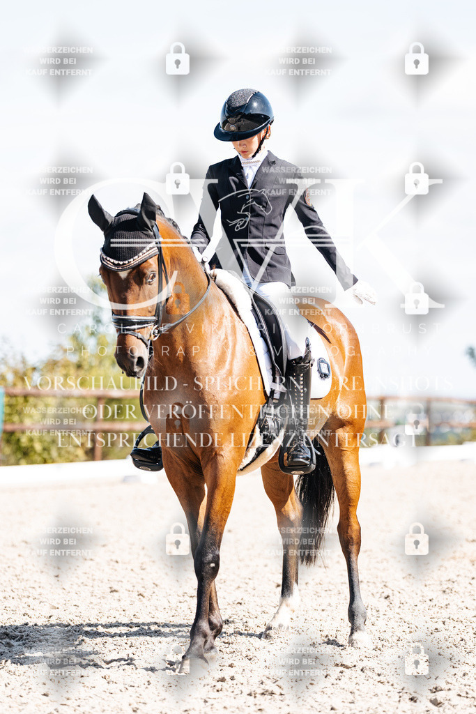 CK902741 | Turnierfotografie Pferdefotografie Trier Rheinland-Pfalz Pferdesport Reitsport Tierfotografie Sportfotografie Pferdevideo Pferdevideografie Equestrianvideography equestrianphotography  - Realisiert mit Pictrs.com