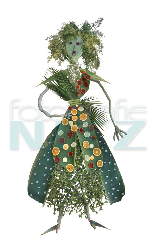 31 | Nitz Fotografie aus Montabaur bietet Ihnen hier die Möglichkeit Bilder auszusuchen und zu bestellen. 