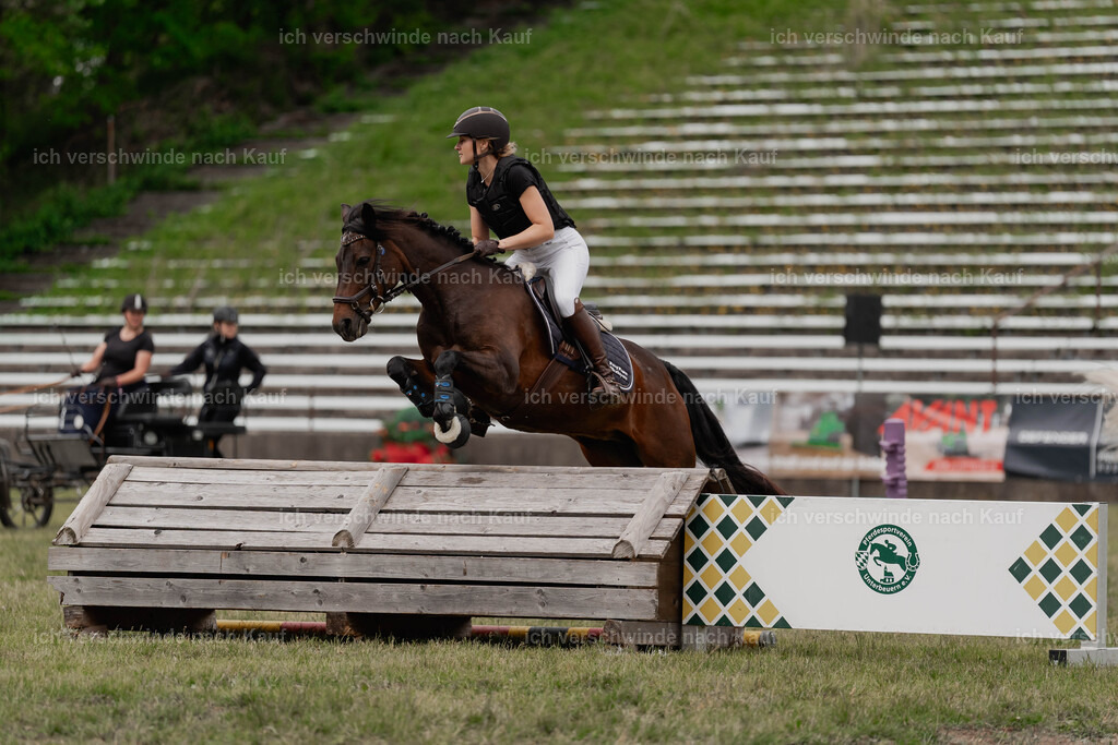 Showprogramm-390 | working equitationturnier fotograf videograf stoibphotography marixx film working equitation deutschland reitsport turnierfotografie eventfotografie equestrian events