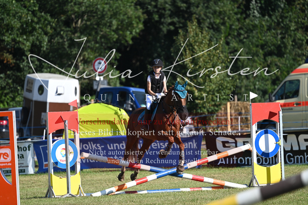DSC_5322 | Pferde- und Turnierfotografie in Westsachsen. Pferdeportraits, Auftragszeichnungen und intuitive Kunst.
