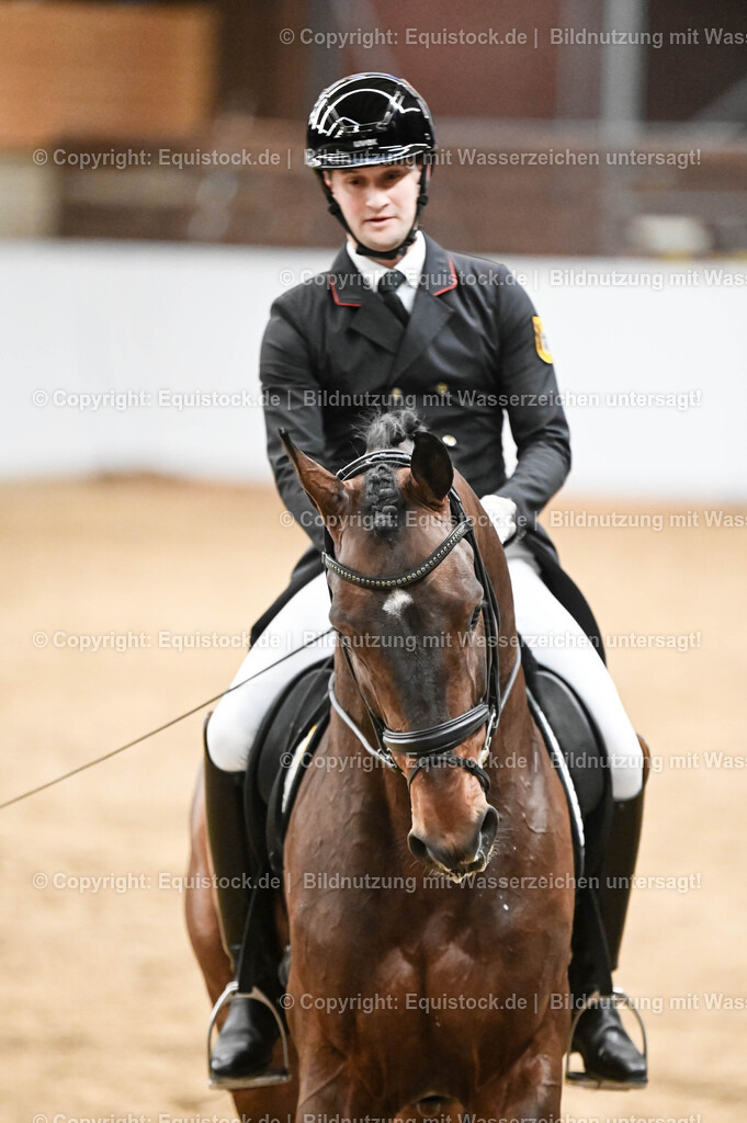 20260307_Hengstvorstellung-Marbach_0366 | equistock