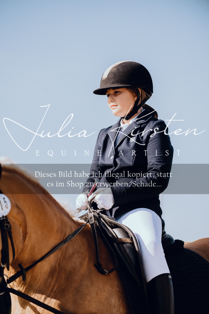 DSC_6866 | Pferde- und Turnierfotografie in Westsachsen. Pferdeportraits, Auftragszeichnungen und intuitive Kunst.