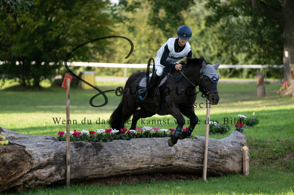 A7V03082 | Turnier/Reitfotograf