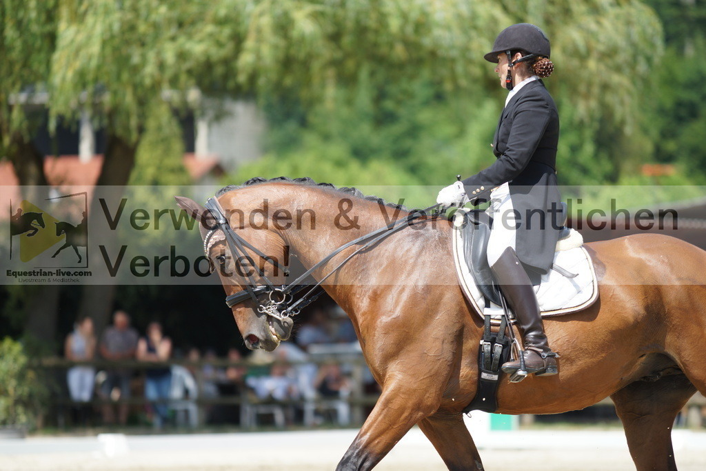 DSC05220 | equestrian-live-com