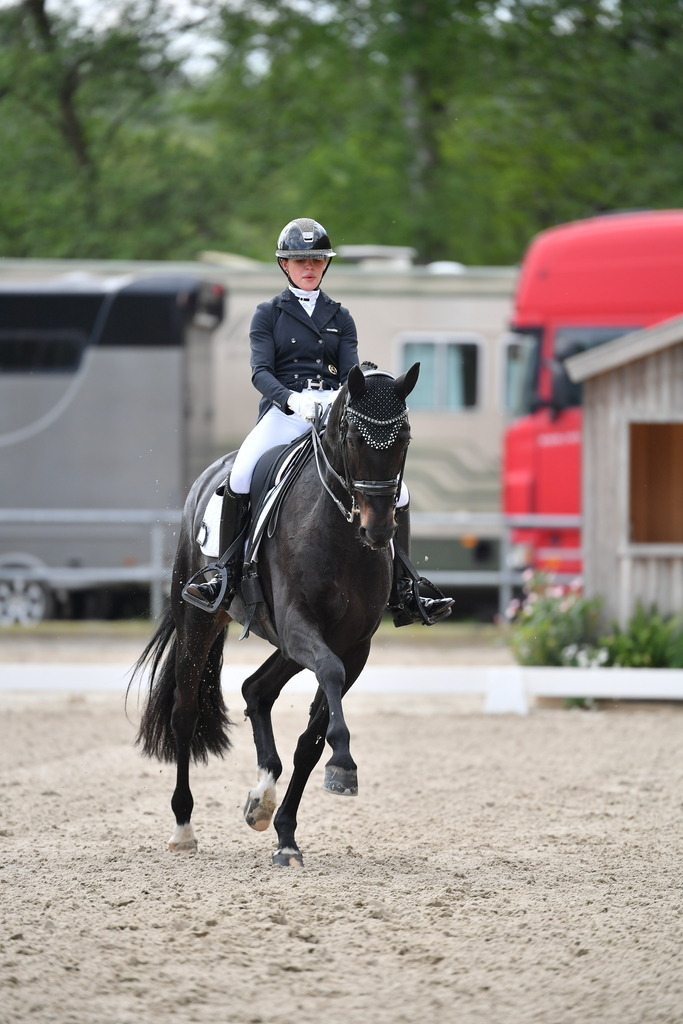 Plinke_17_054 | Der professionelle Turnierfotograf ✓ Reitsport Bilder ▷ Shop ✚ günstig & schnell ✚ mit Zugang für Redakteure
