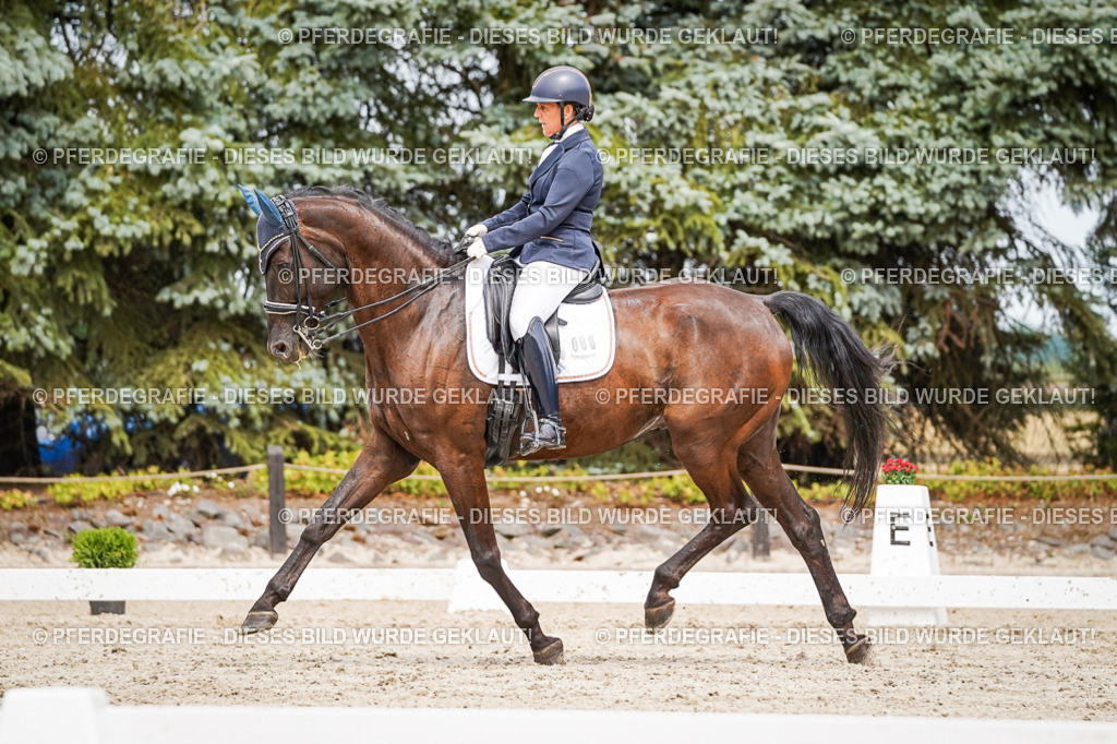 DSC05474 | Pferdegrafie