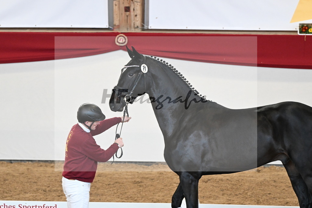 Kat.-Nr. 71 v. Jameson RS2_Greim_2250588 | hf-fotografie - Realisiert mit Pictrs.com