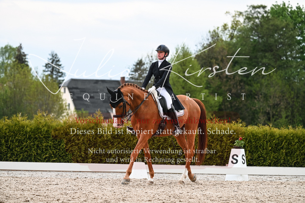 20230513_JK-Röhrsdorf-13-538 | Pferde- und Turnierfotografie in Westsachsen. Pferdeportraits, Auftragszeichnungen und intuitive Kunst.