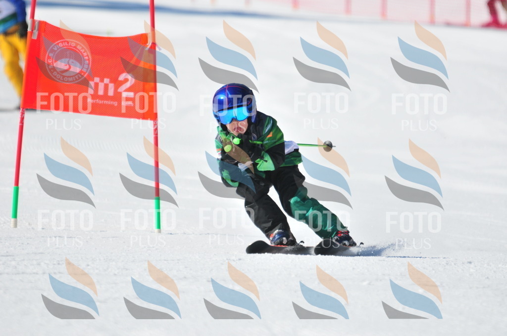 C3109 | holidayphoto