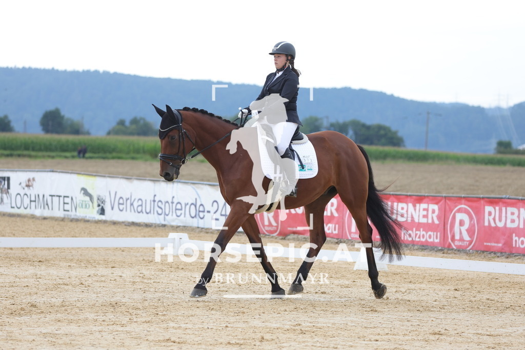 0P6A7752 | Willkommen bei Brunnmayr - Design & Fotografie – Ihrem Spezialisten für Reitturniere und Pferdeveranstaltungen in Oberösterreich, Salzburg und Bayern! Seit über 17 Jahren sind wir leidenschaftlich dabei.