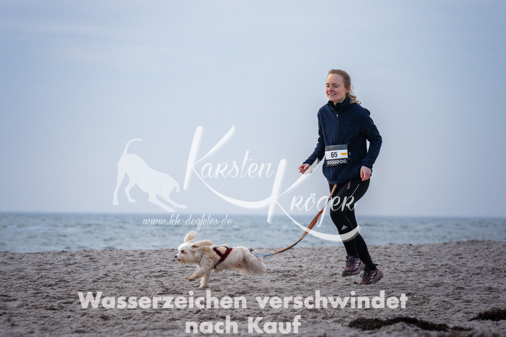 1036_ZZ95490 | kk-dogfotos