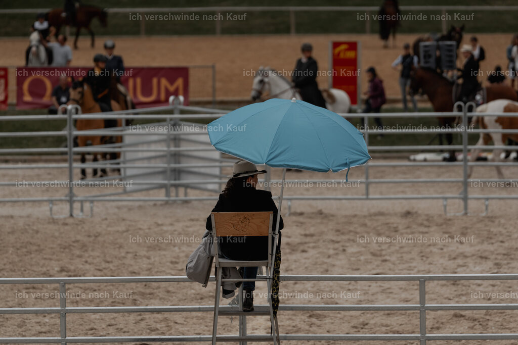 WE__Stoib_Rinder_PI2025_3139 | Pferd International München 2025