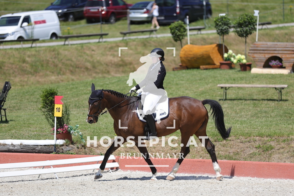 0P6A6634 | Willkommen bei Brunnmayr - Design & Fotografie – Ihrem Spezialisten für Reitturniere und Pferdeveranstaltungen in Oberösterreich, Salzburg und Bayern! Seit über 17 Jahren sind wir leidenschaftlich dabei.