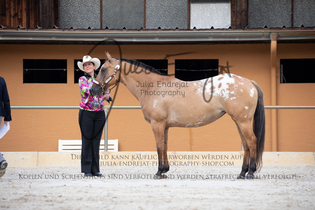 20220623-JuliaEndrejatPhotography-0954 | Julia Endrejat Photography