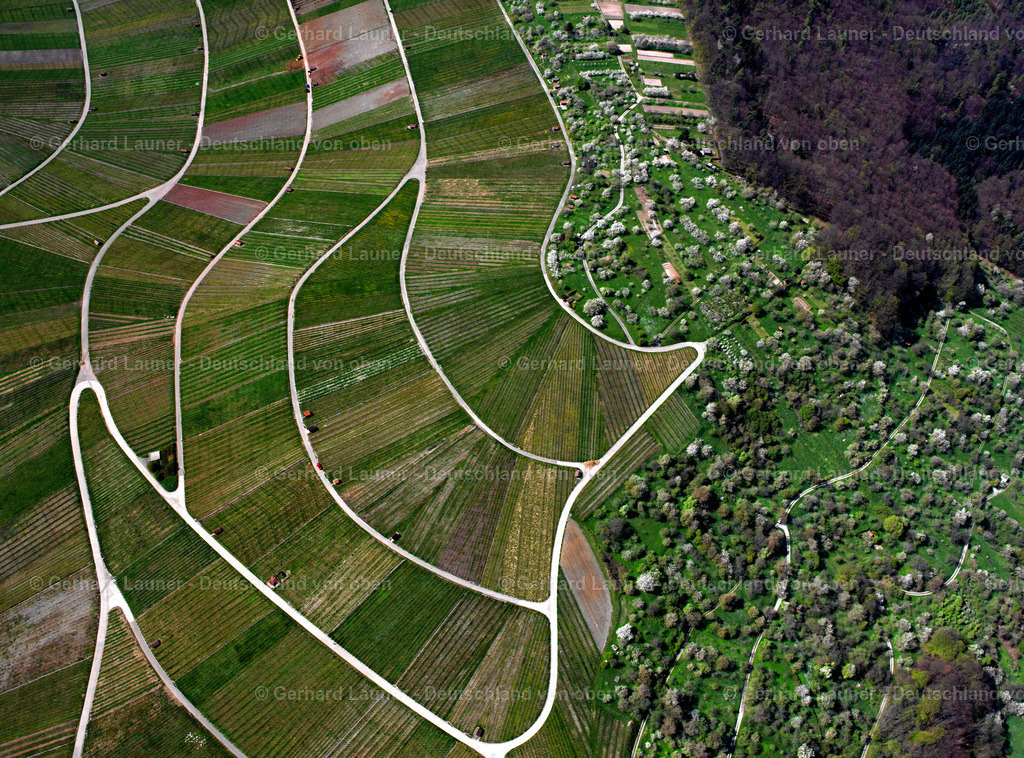 2506098 | Weinberge bei Großheppach