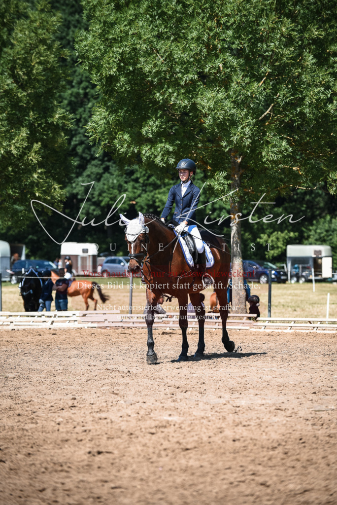 DSC_3499 | Pferde- und Turnierfotografie in Westsachsen. Pferdeportraits, Auftragszeichnungen und intuitive Kunst.