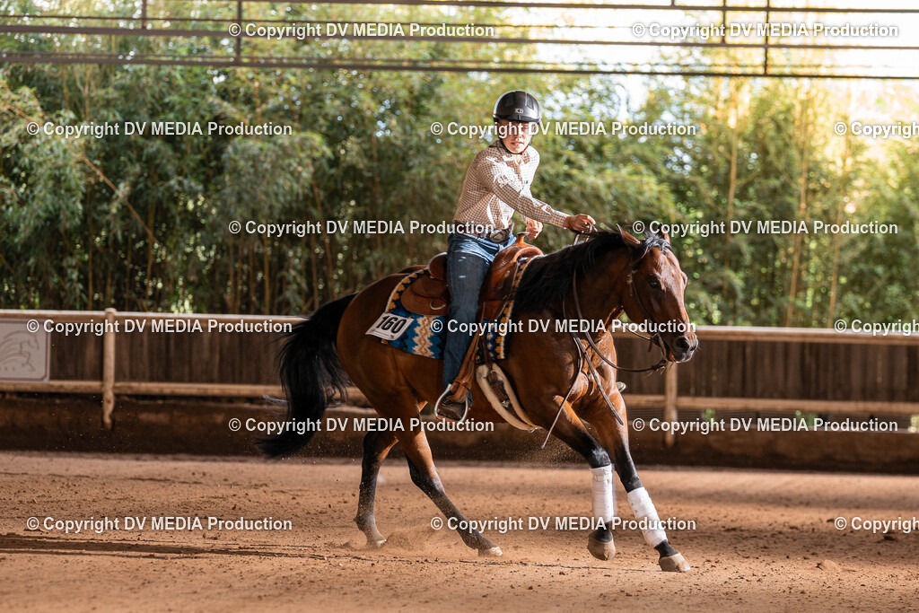 Erbach Tag 2-968 | dv-media-shop - Realisiert mit Pictrs.com