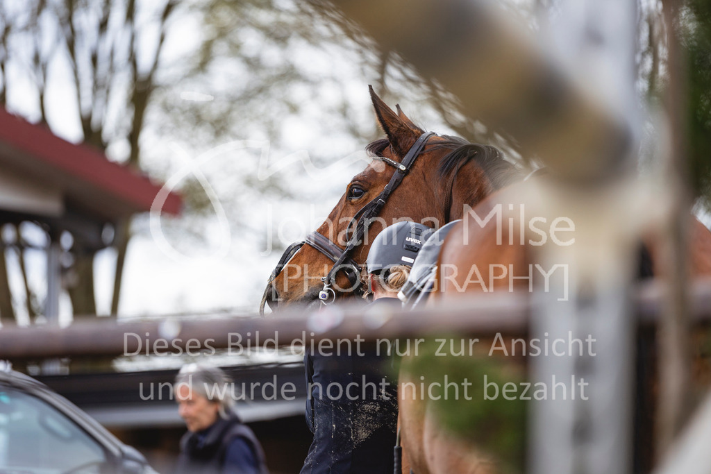 260404_Fruehlingsfest_Stil-A-427 | Deine schönsten Turniermomente als professionelle Fotos! Entdecke hochwertige Pferdesport-Fotografie im Online-Shop. Jetzt Fotos finden & bestellen!