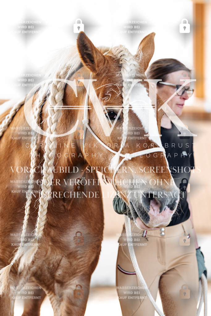 CK905927 | Turnierfotografie Pferdefotografie Trier Rheinland-Pfalz Pferdesport Reitsport Tierfotografie Sportfotografie Pferdevideo Pferdevideografie Equestrianvideography equestrianphotography  - Realisiert mit Pictrs.com