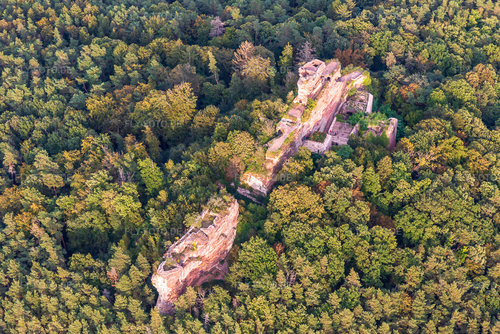 Luftbild: Burg Drachenfels in Busenberg im Bundesland Rheinland-Pfalz in Deutschland. Foto: IMG_139006.jpg vom 30.09.2023 durch Werner Riehm/FLY-FOTO.deWWW.WANDERPARADIES-WASGAU.DE