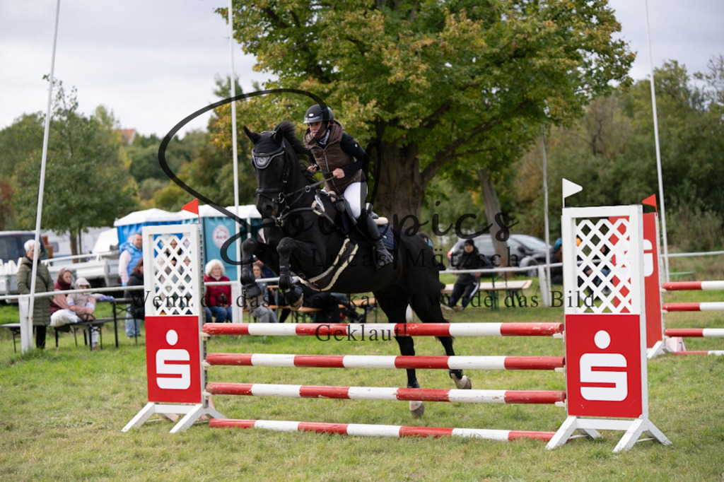 A7V06738 | Pferdefotograf