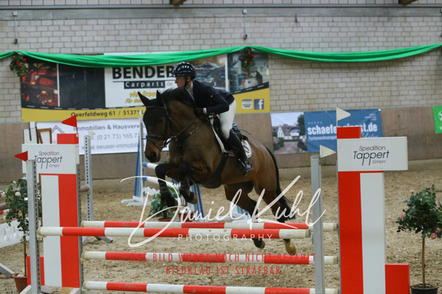 IMG_0675 | Turnierfotos kaufen im Webshop von Daniel Kuhl Photography – entdecke professionelle Reitsportfotos aus Turnieren & Events. Hochwertige Turnierbilder online bestellen & sichern. Jetzt Fotos von Reitsportturnieren kaufen!