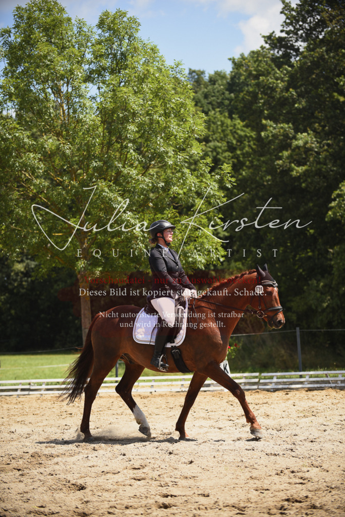 DSC_1277 | Pferde- und Turnierfotografie in Westsachsen. Pferdeportraits, Auftragszeichnungen und intuitive Kunst.