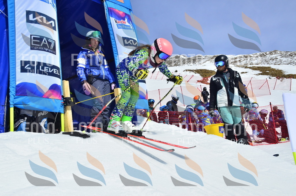 _ELE1248 | holidayphoto