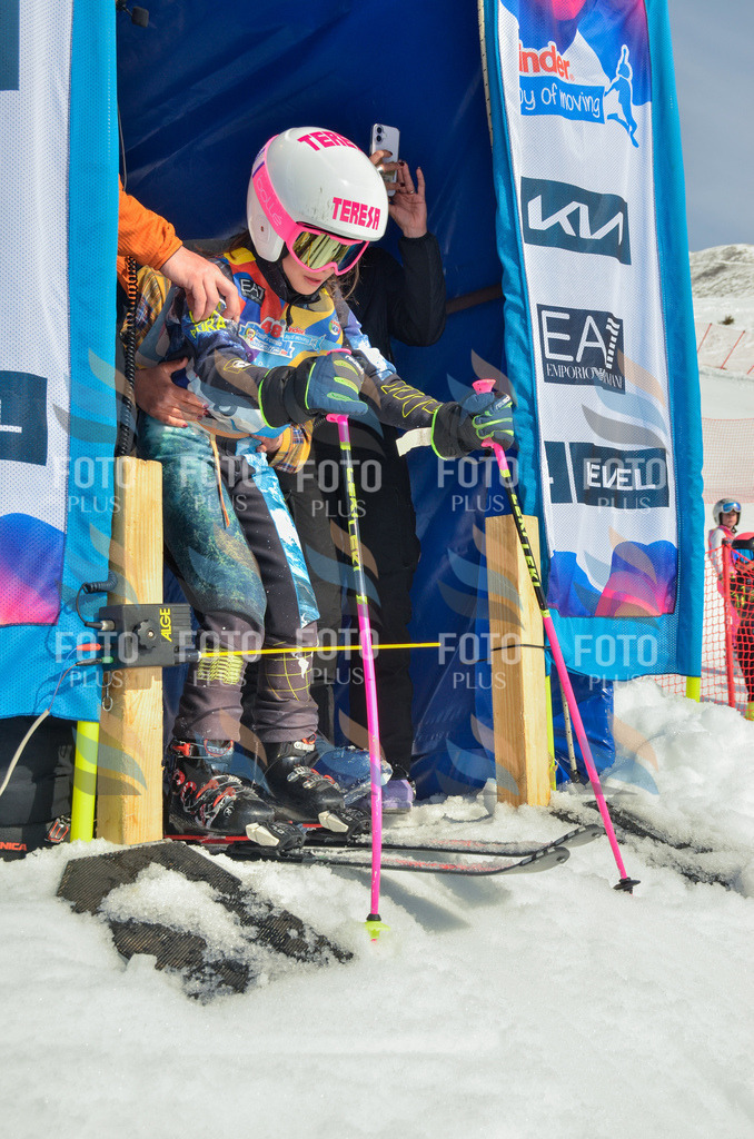 _ELE4420 | holidayphoto