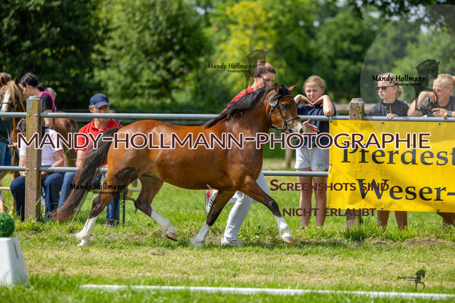 RR 1 (433 von 841) | mandyhollmannphotographie