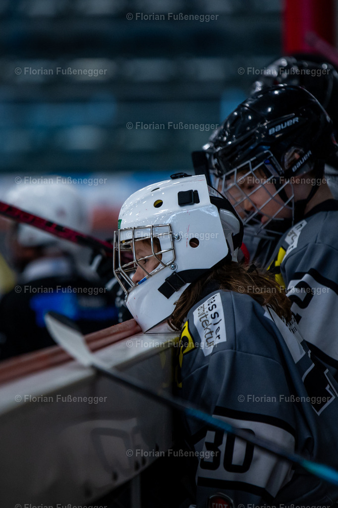 2025-03-01-Bärencup Wil-187 | "Fussifoto.com – Ihr Ansprechpartner für hochwertige Fotografie! Entdecken Sie kreative Bilder und professionelle Dienstleistungen. Kontaktieren Sie uns für Ihre Projekte!"