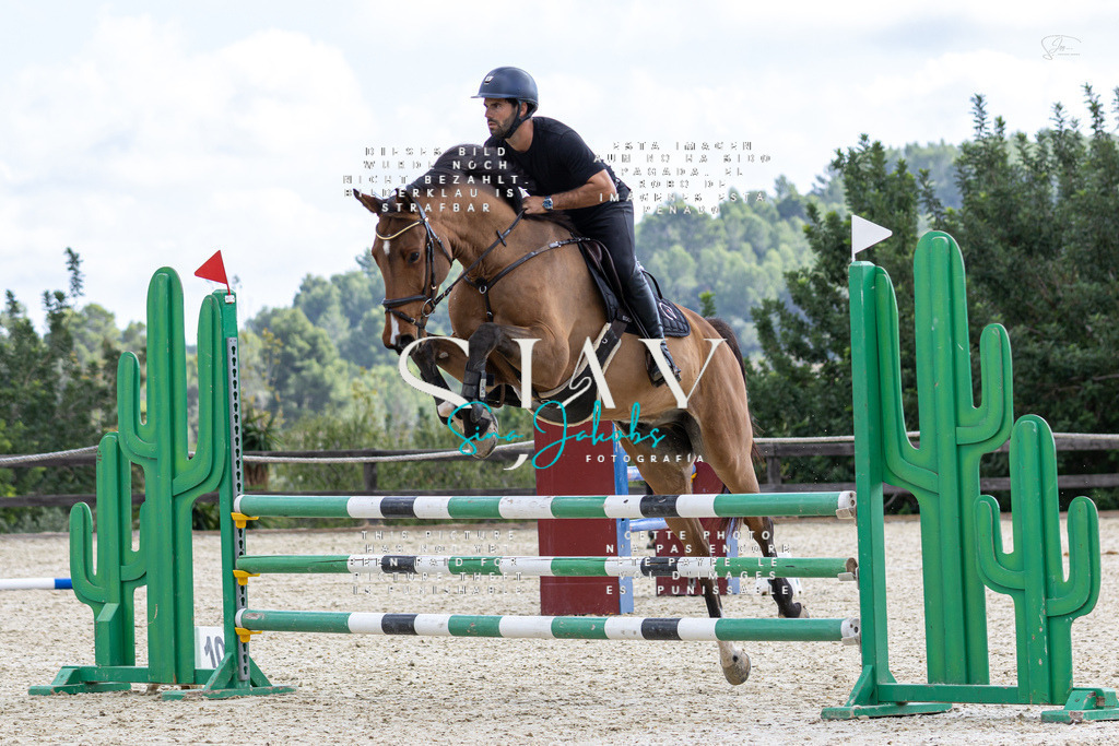 IMG_2838 | s-jay-photography - Realisiert mit Pictrs.com