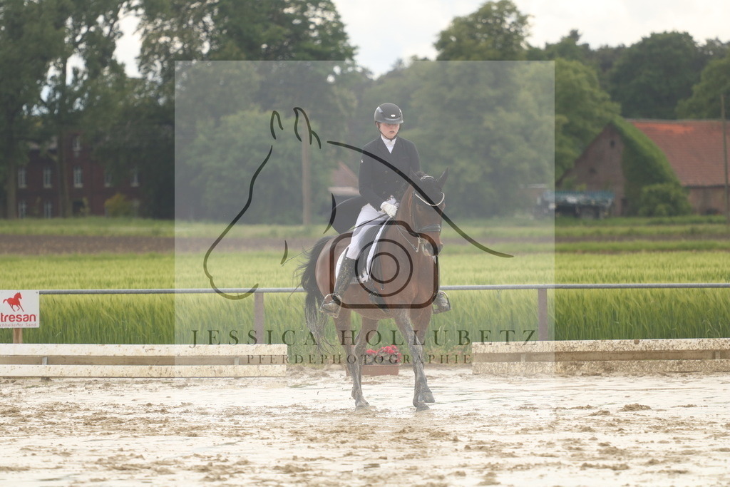 IMG_0635 | jessicahollubetz_pferdephotographie - Realisiert mit Pictrs.com