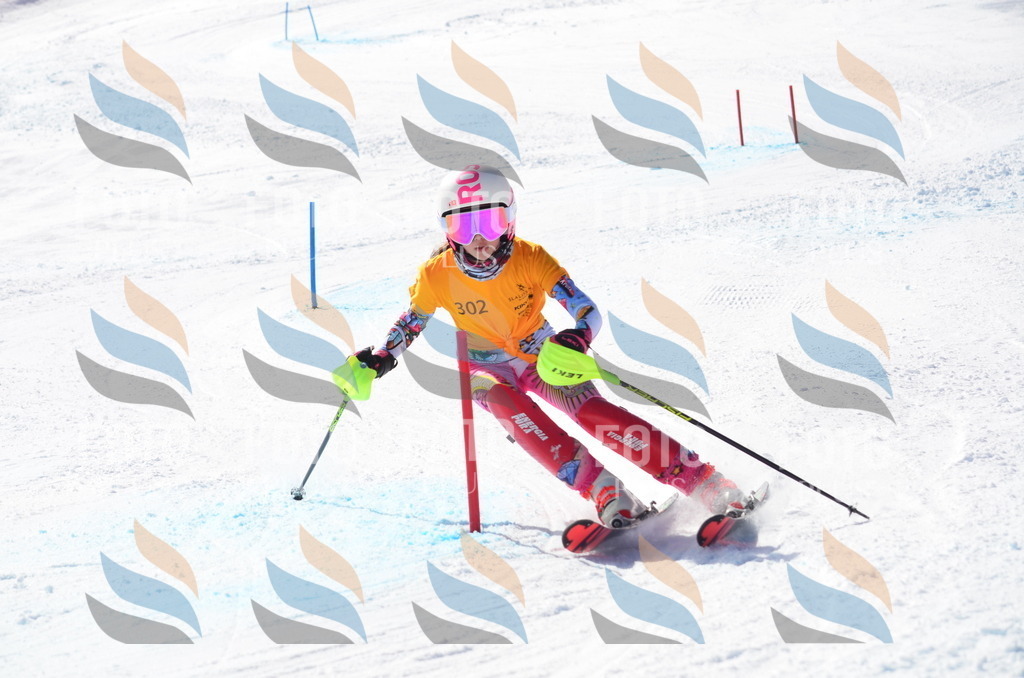 C9474 | holidayphoto