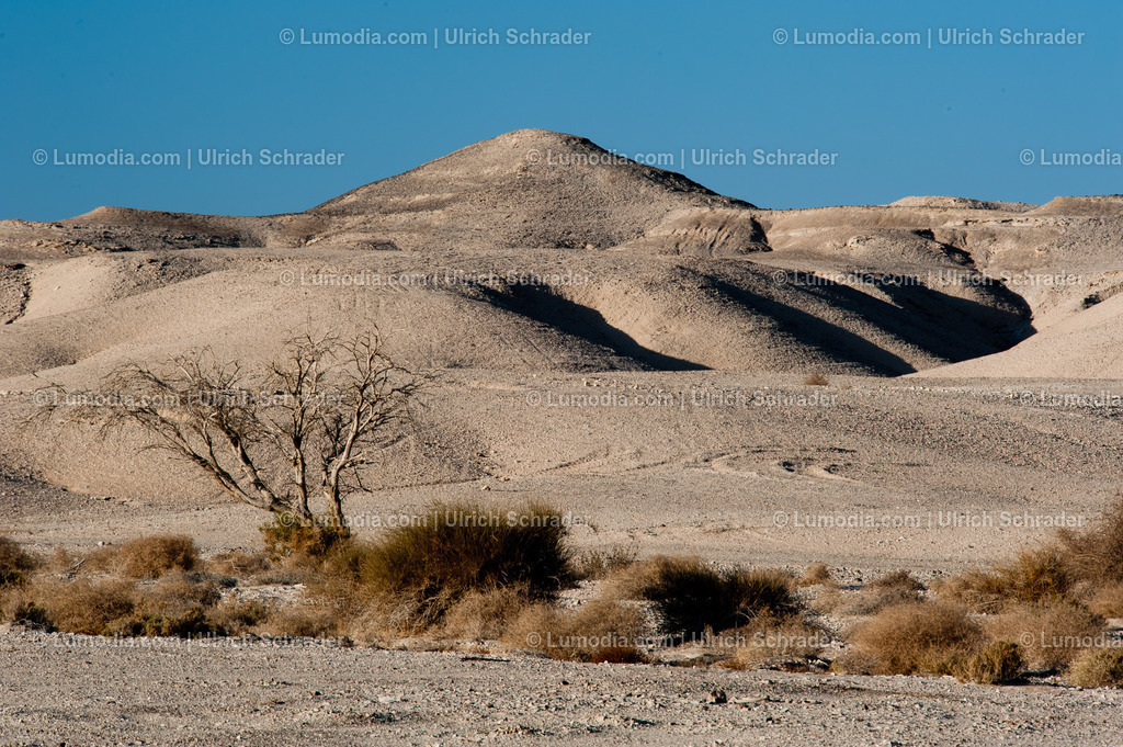 10972-10306 - Negev-Wüste _ Israel | max. Bildgröße A3 | 300dpi - Realisiert mit Pictrs.com