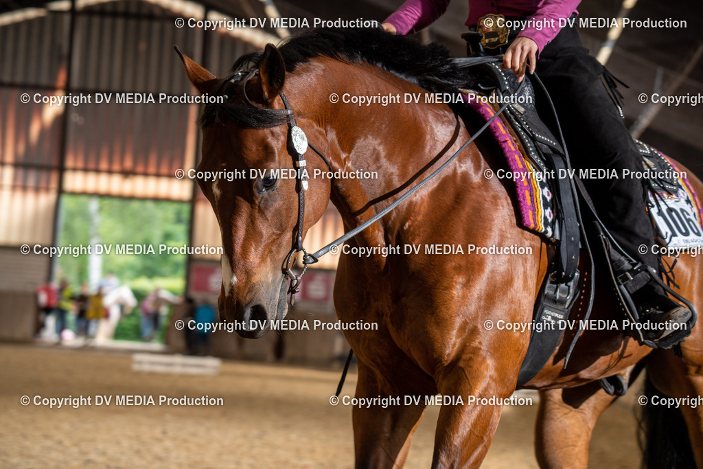 Zeiskam Tag 1-662 | dv-media-shop - Realisiert mit Pictrs.com