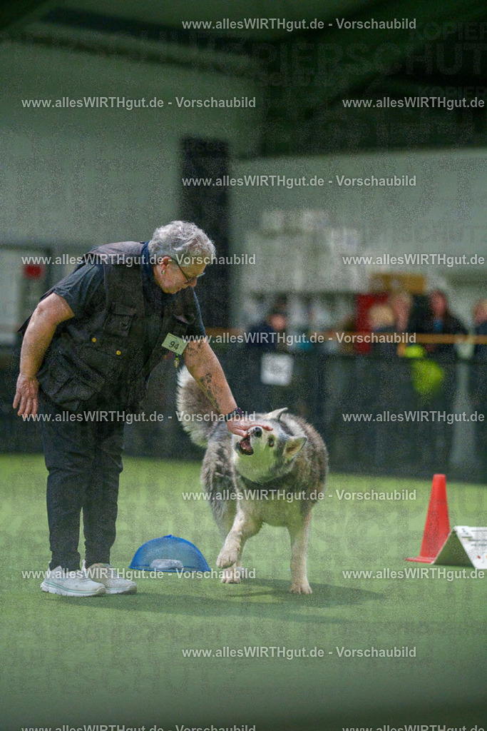 7R504374 | Professionelle Tierfotografie in Mönchengladbach von Daniel Wirth (allesWIRTHgut). Liebevolle & natürliche Bilder von Hunden & Katzen für unvergessliche Erinnerungen.