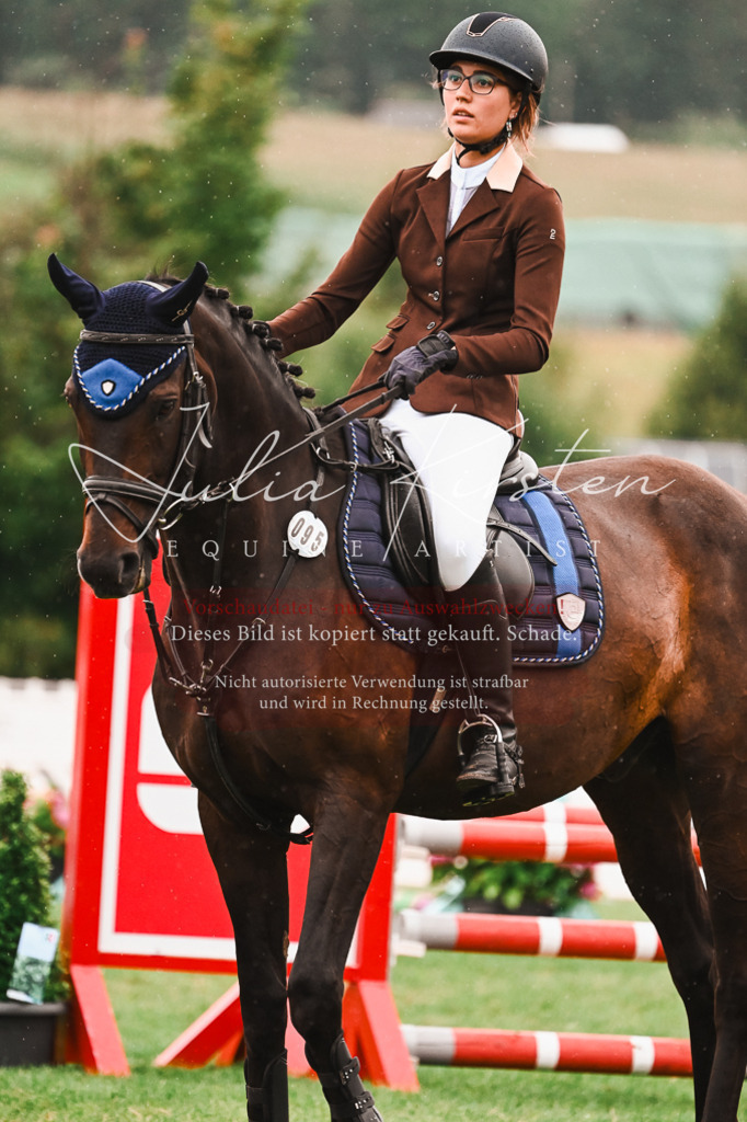 DSC_6586 | Pferde- und Turnierfotografie in Westsachsen. Pferdeportraits, Auftragszeichnungen und intuitive Kunst.
