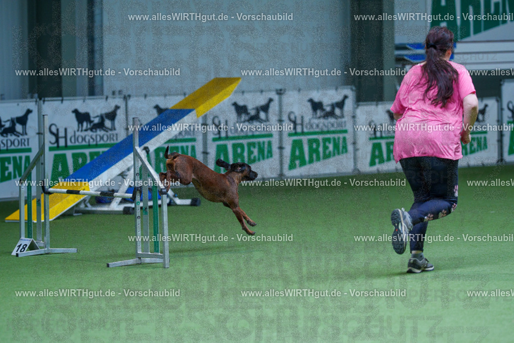 @allesWIRTHgut_Tierfotografie - www.allesWIRTHgut.de - 2604251236-7R502205 | Professionelle Tierfotografie in Mönchengladbach von Daniel Wirth (allesWIRTHgut). Liebevolle & natürliche Bilder von Hunden & Katzen für unvergessliche Erinnerungen.