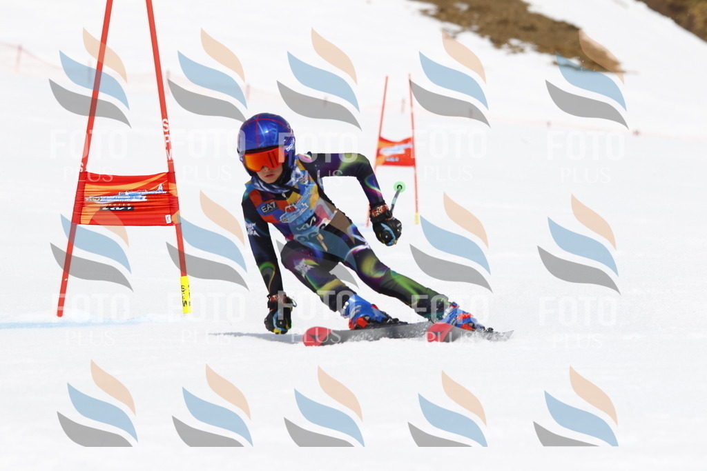 _U3G6678 | holidayphoto