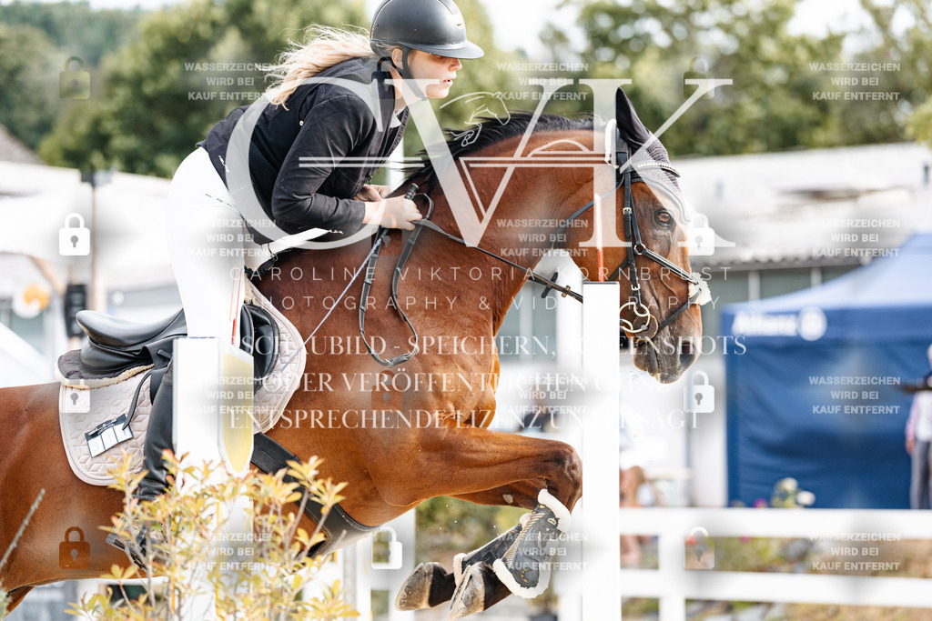 CK903014 | Turnierfotografie Pferdefotografie Trier Rheinland-Pfalz Pferdesport Reitsport Tierfotografie Sportfotografie Pferdevideo Pferdevideografie Equestrianvideography equestrianphotography  - Realisiert mit Pictrs.com