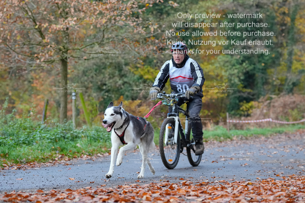 Bike_So-164 | stephaniefillaphotographie - Realisiert mit Pictrs.com