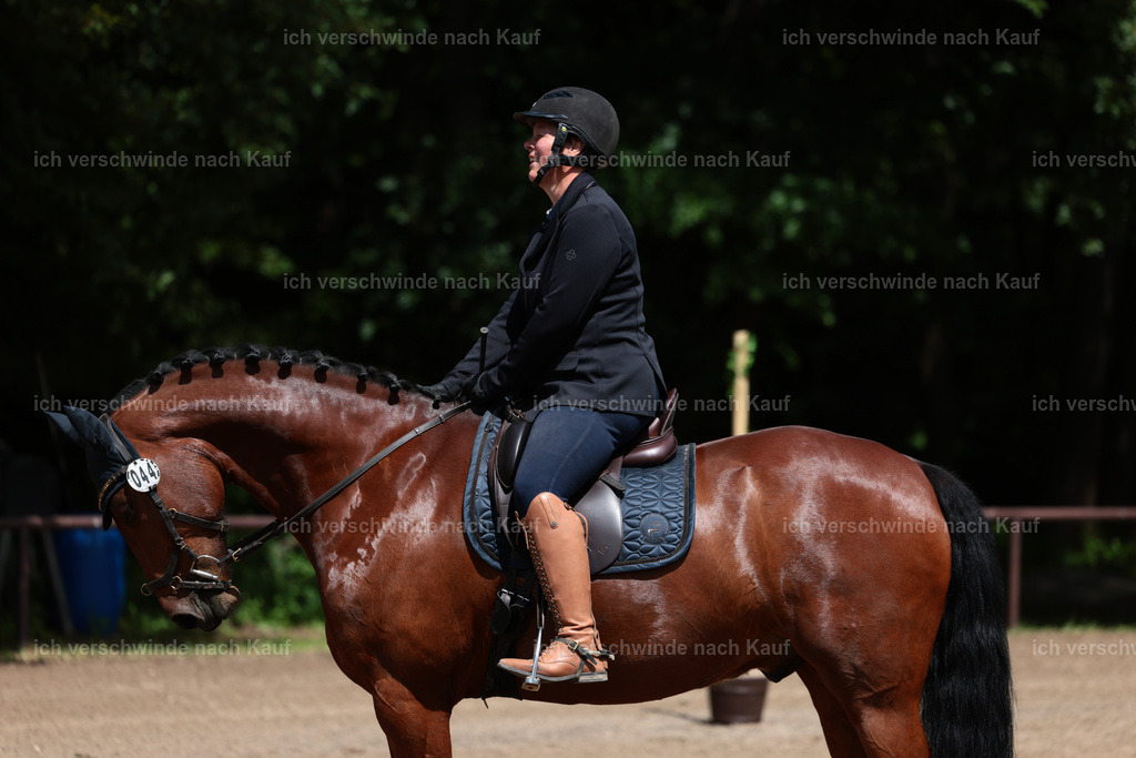 KlasseA_Stoibphotography_C2_L5425.JPG | working equitationturnier fotograf videograf stoibphotography marixx film working equitation deutschland reitsport turnierfotografie eventfotografie equestrian events
