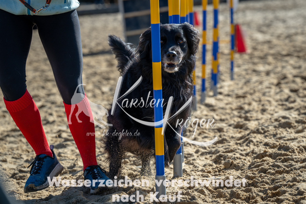 1130_ZZ91369 | kk-dogfotos