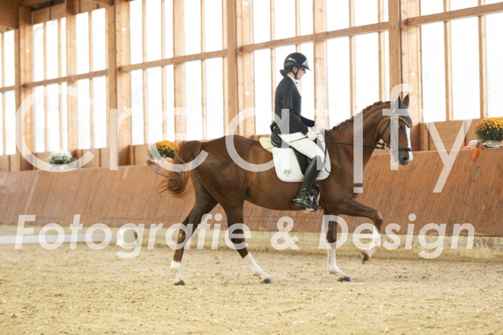 IMG_1404 | Creatify Fotografie