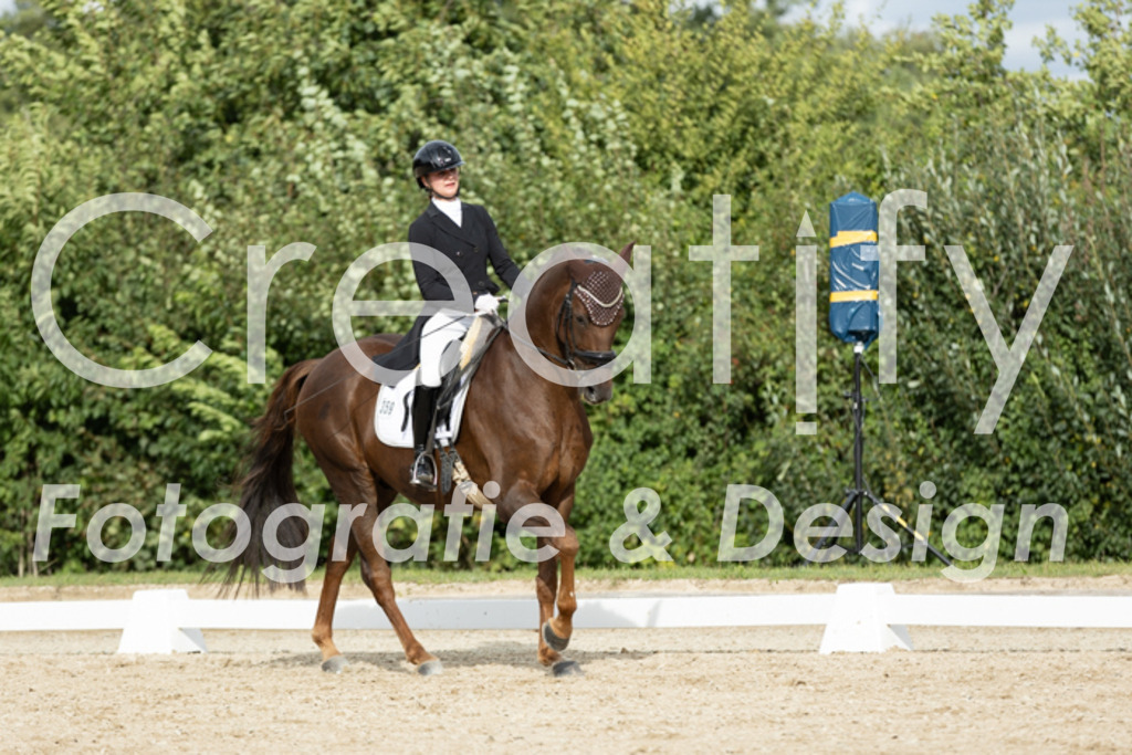 IMG_6962 | Creatify Fotografie